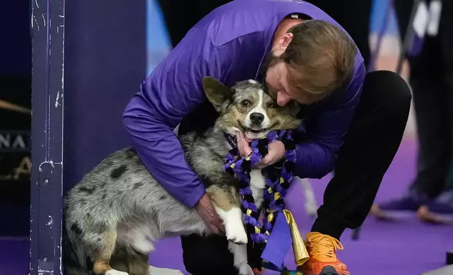 Handler hugs a dog at the 150th Westminster Kennel Club Dog show, Saturday, Jan. 31, 2026, at the in New York. (AP Photo/Yuki Iwamura)