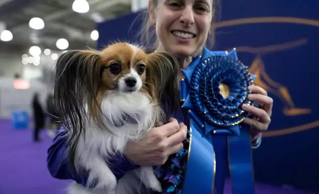 A handler and Gabby, Papillion dog, poses for a picture after competing in the Masters Agility Championship Finals at the 150th Westminster Kennel Club Dog show, Saturday, Jan. 31, 2026, at the in New York. (AP Photo/Yuki Iwamura)