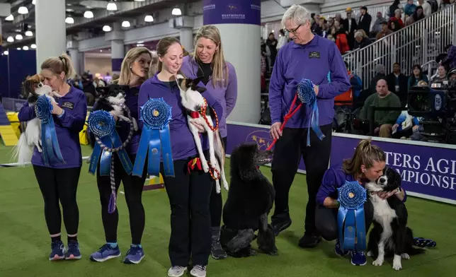 Winners of the Masters Agility Championship Finals pose for a picture at the 150th Westminster Kennel Club Dog show, Saturday, Jan. 31, 2026, at the in New York. (AP Photo/Yuki Iwamura)