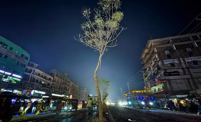 A tree stands on a road divider where the body of 27-year-old Hindu garment worker Dipu Chandra Das was hung and set on fire by a mob on Dec. 18, 2025, in Gazipur near Dhaka, Bangladesh, Jan. 9, 2026. (AP Photo/Mahmud Hossain Opu)