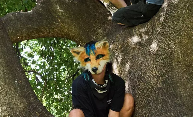 FILE - Youths climb a tree during a gathering of therians, people who say they identify as non-human animals, in Buenos Aires, Argentina, Feb. 22, 2026. (AP Photo/Rodrigo Abd, File)