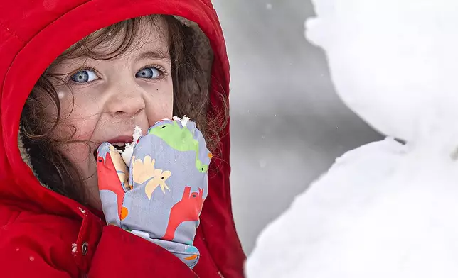 Louise Jordan, 3, eats snow while building a snowman near her home in Media, Pa. on Monday, Feb. 23, 2026. (Jose F. Moreno/The Philadelphia Inquirer via AP)