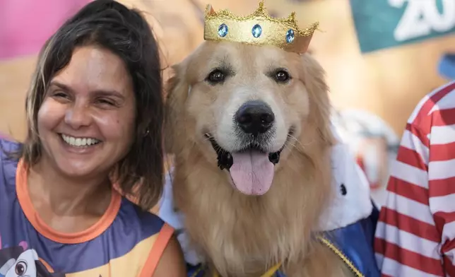 A dog wears a crown during the "Blocao" Carnival dog parade in Rio de Janeiro, Saturday, Feb. 14, 2026. (AP Photo/Silvia Izquierdo)