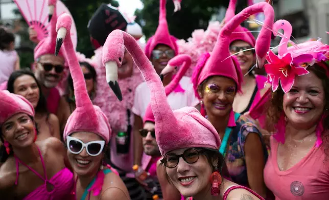 Revelers dressed as flamingos pose a photos during the "Cordao do Boitata" street pre-carnival party in Rio de Janeiro, Sunday, Feb. 8, 2026. (AP Photo/Bruna Prado)