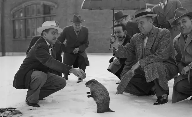 FILE - The groundhog saw his shadow, Feb. 2, 1954, as the sun peeked through an overcast sky at Washington Park Zoo in Milwaukee, Wis. (AP Photo/Dwayne Newton, File)