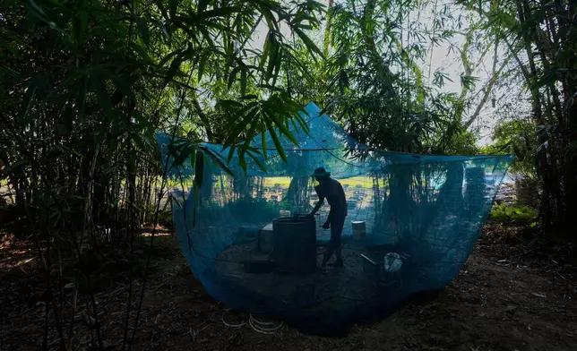 A migratory beekeeper extracts honey from beehives near a mustard field in the Binnabari village in Baksa district of Assam, India, Friday, Jan. 16, 2026. (AP Photo/Anupam Nath)
