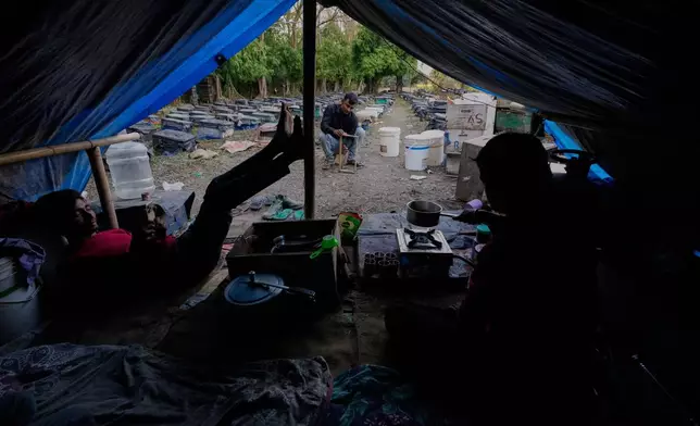 Migratory beekeepers sit in a makeshift tent at a bee colony near a mustard field in the Binnabari village in Baksa district of Assam, India, Thursday, Jan. 15, 2026. (AP Photo/Anupam Nath)
