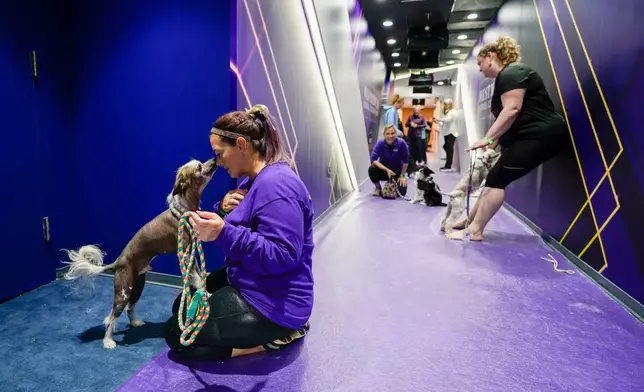 FILE - Amy Gilmer, left, and her Chinese crested, Surfer Dude, wait backstage at Arthur Ashe stadium before competing in the agility preliminaries during the 147th Westminster Kennel Club Dog show, Saturday, May 6, 2023, at the USTA Billie Jean King National Tennis Center in New York. (AP Photo/Mary Altaffer, File)