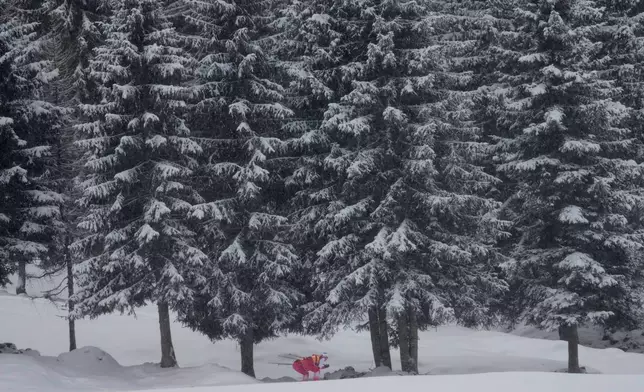 Athletes train before the men's 4 x 7.5km biathlon relay at the 2026 Winter Olympics in Anterselva, Italy, on Tuesday, Feb. 17, 2026. (AP Photo/Christophe Ena)