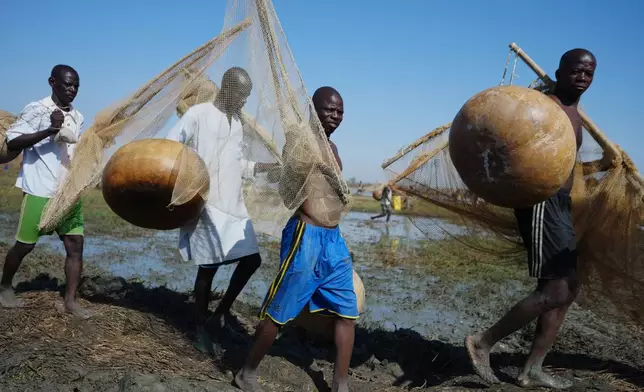 Fishermen arrive for the Argungu cultural fishing festival in Argungu, Kebbi , Northern Nigeria, Saturday, Feb.14, 2026. (AP Photo/Sunday Alamba)