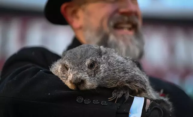 Groundhog Club handler A.J. Dereume holds Punxsutawney Phil, the weather prognosticating groundhog, during the 140th celebration of Groundhog Day on Gobbler's Knob in Punxsutawney, Pa., Monday, Feb. 2, 2026. Phil's handlers said that the groundhog has forecast six more weeks of winter. (AP Photo/Barry Reeger)