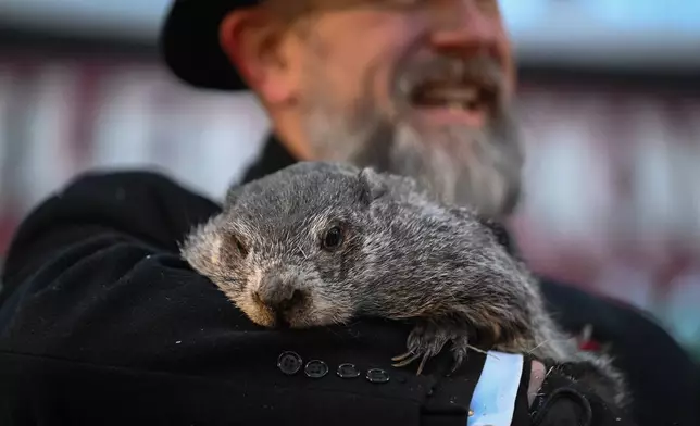 Groundhog Club handler A.J. Dereume holds Punxsutawney Phil, the weather prognosticating groundhog, during the 140th celebration of Groundhog Day on Gobbler's Knob in Punxsutawney, Pa., Monday, Feb. 2, 2026. Phil's handlers said that the groundhog has forecast six more weeks of winter. (AP Photo/Barry Reeger)