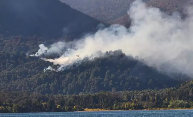 Wildfires burn in Los Alerces National Park in Argentina, Saturday, Jan. 31, 2026. (AP Photo/Victor R. Caivano)