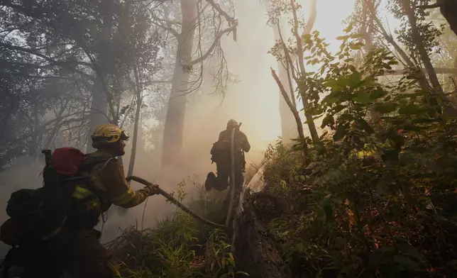 Firefighters battle wildfires in Los Alerces National Park, Argentina, Saturday, Jan. 31, 2026. (AP Photo/Victor R. Caivano)