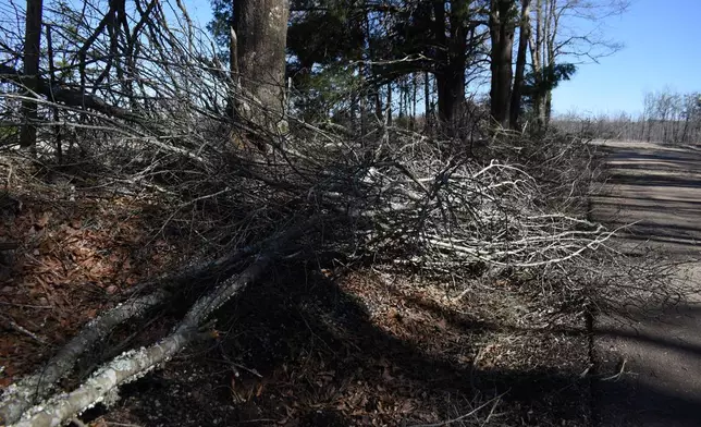 Fallen tree limbs covered roadsides in Oxford, Friday, Feb. 6, 2026 in Oxford, Ms. (AP Photo/Sophie Bates)