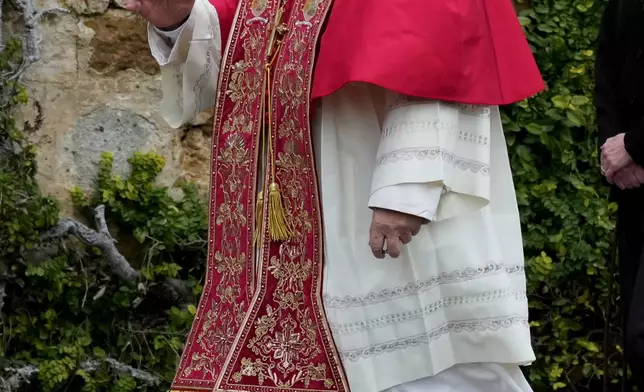 Pope Leo XIV arrives to bless a mosaic of the Virgin Mary and a statue of St. Rose of Lima in the Vatican Gardens, Saturday, Jan. 31, 2026. (AP Photo/Andrew Medichini)