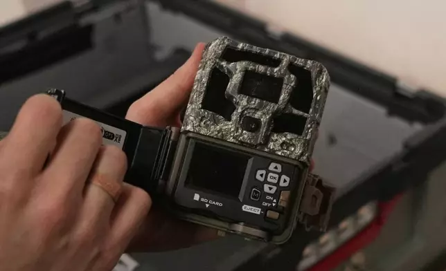 Doctoral student Marco Granata shows the camera he uses to film stoats, Wednesday, Feb. 11, 2026, in Turin, Italy. (AP Photo/Brittany Peterson)