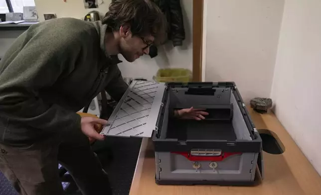 Doctoral student Marco Granata stretches his arm through an open tunnel in a device that allows stoats to enter and exit freely, while a camera captures footage of them, Wednesday, Feb. 11, 2026, in Turin, Italy. (AP Photo/Brittany Peterson)