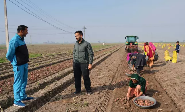 Indian farmer Bir Virk, second left, talks with his neighboring farmer about using AI, or Artificial Intelligence technology in farming, near Karnal, India, on Feb. 10, 2026. (AP Photo/Piyush Nagpal)