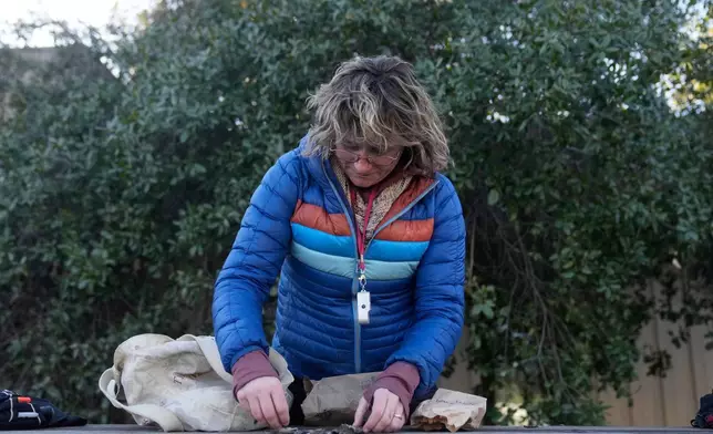 Jessica Allen, of the California Lichen Society, arrange lichen found during a CALS field trip at the University of California, Davis' McLaughlin Reserve in Lower Lake, Calif., Saturday, Jan. 24, 2026. (AP Photo/Jeff Chiu)