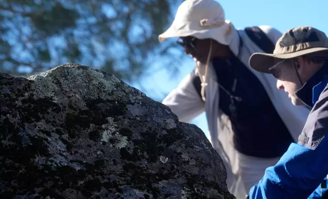 Valerie McFarlane, top, and Edward Smyth, a member of the California Lichen Society, look toward lichen on a large rock during a field trip at the University of California, Davis' McLaughlin Reserve in Lower Lake, Calif., Saturday, Jan. 24, 2026. (AP Photo/Jeff Chiu)