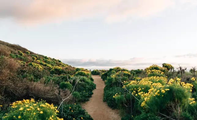 Hipcamp Launches Interactive California Superbloom Forecast Built From 150,000+ iNaturalist Observations
