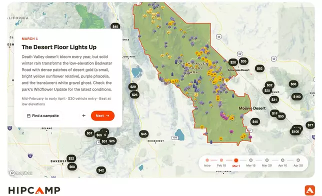 Screenshot of the interactive California superbloom forecast.