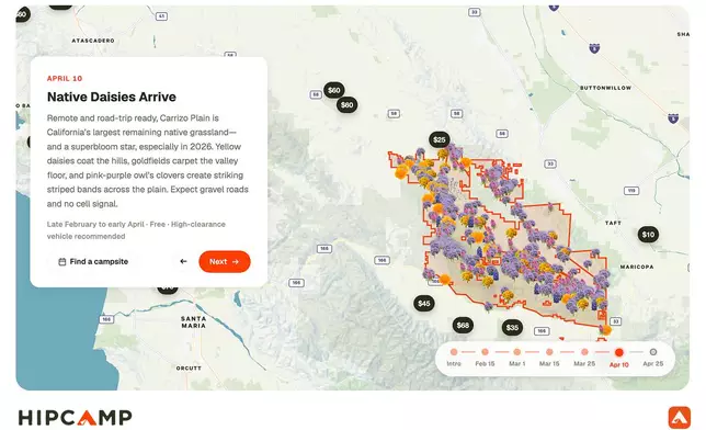 Screenshot of the interactive California superbloom forecast.