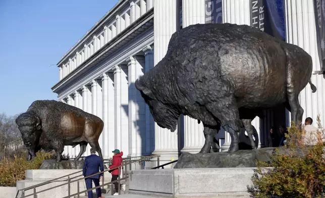 Bison statues cast in bronze are on permanent display outside the Smithsonian's National Museum of Natural History, Friday, March 20, 2026, in Washington. (AP Photo/Rahmat Gul)