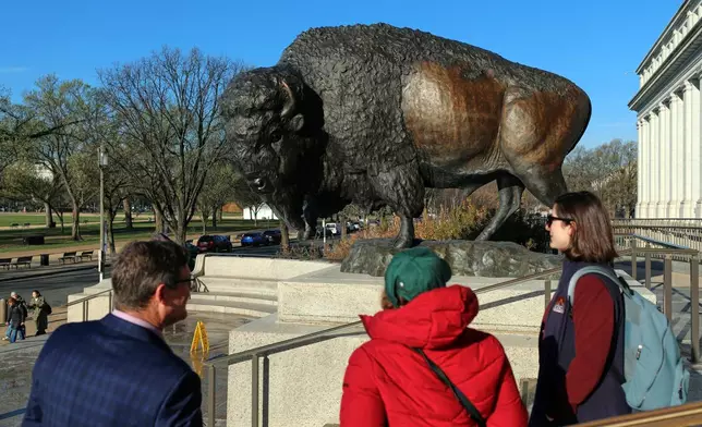 Bison statues cast in bronze are on permanent display outside the Smithsonian's National Museum of Natural History, Friday, March 20, 2026, in Washington. (AP Photo/Rahmat Gul)