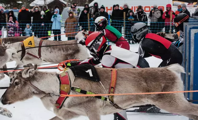 Mushers and reindeer jostle at the start of the Salla Porocup reindeer sprint racing event in Salla, Finland, March 8, 2026. (AP Photo/Aino Vaananen)