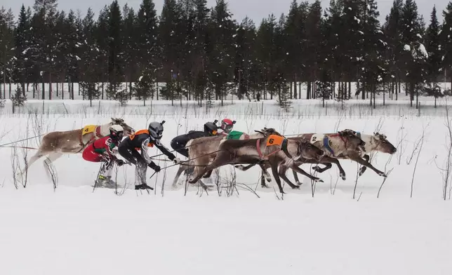 Reindeer and their mushers sprint down the opening stretch during the Salla Porocup reindeer sprint racing event on the frozen Lake Keselmajarvi in Salla, Finland, March 7, 2026. (AP Photo/Aino Vaananen)