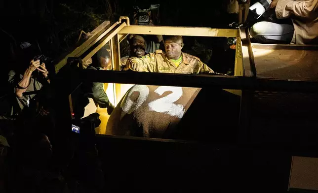 Rangers work with a rhinoceros after it was transported in a crate to Kidepo Valley National Park in north-eastern Uganda, Tuesday, March 17, 2026. (AP Photo/Moses Dipak)