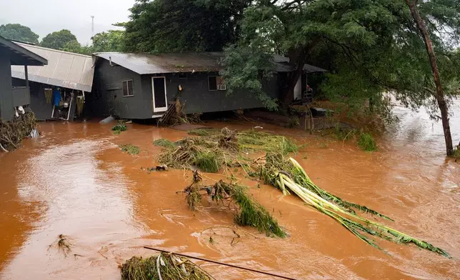 A view of a storm-damaged home near floating felled branches in flood waters caused by severe rains in Waialua, Hawaii, Friday, March 20, 2026. (AP Photo/Mengshin Lin)