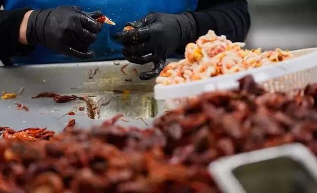 A worker peels crawfish in the Bocage Crawfish processing facility in Crowley, La., Thursday, March 19, 2026. (AP Photo/Gerald Herbert)