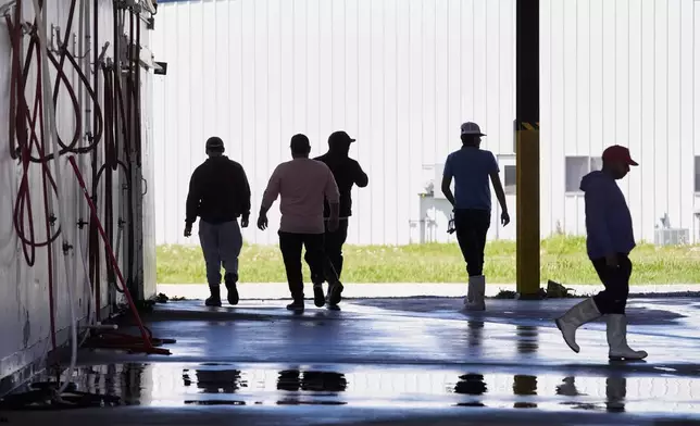 Workers walk between buildings at the Bocage Crawfish processing facility in Crowley, La., Thursday, March 19, 2026. (AP Photo/Gerald Herbert)