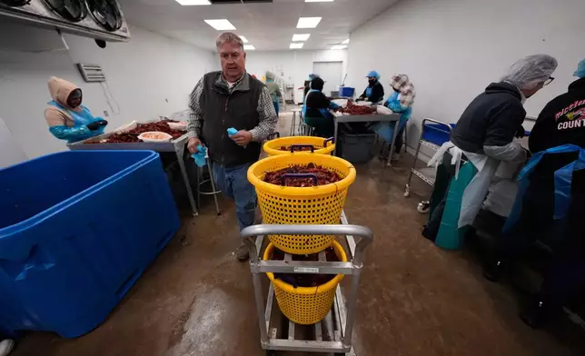 Alan Lawson walks through a room that normally has 110 workers in the Bocage Crawfish processing facility in Crowley, La., Thursday, March 19, 2026. (AP Photo/Gerald Herbert)