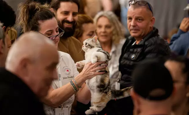 A breeder holds a kitten at an international feline beauty competition, dubbed the Feline Oscars, featuring more than 200 cats, in Bucharest, Romania, Saturday, March 21, 2026. (AP Photo/Andreea Alexandru)