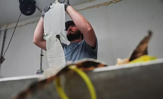 Jacob Sagrera inspects an alligator skin Tuesday, Jan. 20, 2026, at a farm in Abbeville, La. (AP Photo/Joshua A. Bickel)
