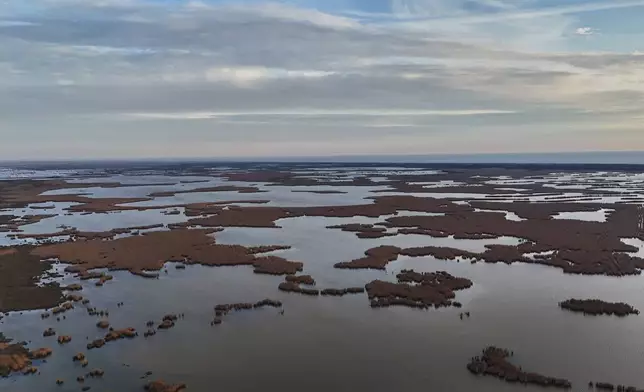 The sun sets over Rockefeller Wildlife Refuge, Tuesday, Jan. 20, 2026, in Grand Chenier, La. (AP Photo/Joshua A. Bickel)