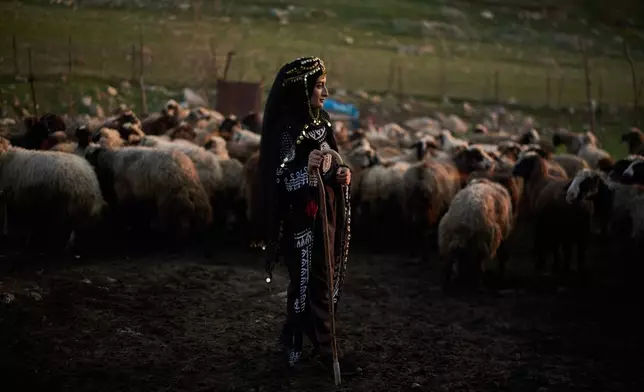 Wearing a traditional dress, Parzhin Jasem, poses for a photo next to sheep belonging to her uncle as she takes part in a family gathering to break the fast with an Iftar meal during the Muslim holy month of Ramadan in the village of Gulp, Iraq, Tuesday, March 17, 2026. (AP Photo/Leo Correa)