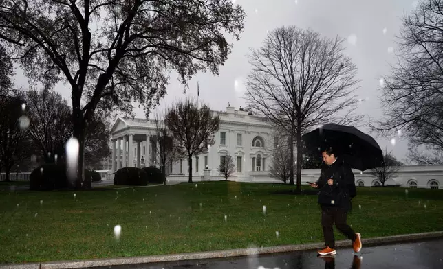 A person walks through falling snow at the White House on Thursday, March 12, 2026, in Washington. (AP Photo/Allison Robbert)