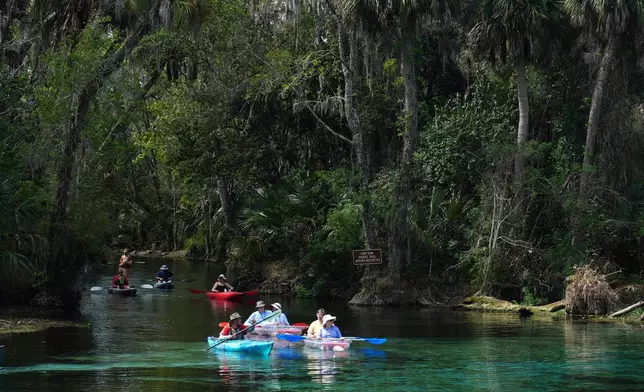 A guide leads kayakers on a tour of Silver Springs on Thursday, March 5, 2026, in Ocala, Fla. (AP Photo/Marta Lavandier)