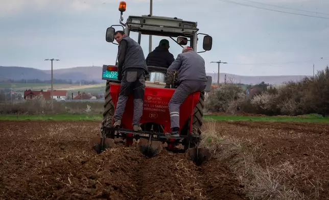 Farmers of Pestova firm on the back of a tractor plant potatoes in the village of Pestove, Kosovo on March 26, 2026. (AP Photo/Visar Kryeziu)