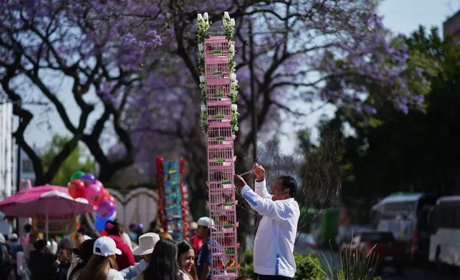 A vendor arranges a cage before an annual pilgrimage of bird vendors to the Basilica of Guadalupe in Mexico City, Sunday, March 29, 2026. (AP Photo/Eduardo Verdugo)