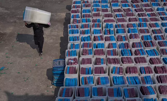 FILE - A man carries ballot boxes to load onto a vehicle for delivery to various regions across the country ahead of the March 5 general election, at election commission in Kathmandu, Nepal, on Feb. 8, 2026. (AP Photo/Niranjan Shrestha, File)