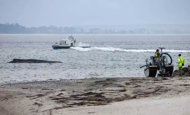 A suction dredger, right, is to be used to dredge a pathway for the whale, left, which is stranded on the Baltic coast off near Timmendorfer Strand, Germany, Tuesday March 24, 2026. (Ulrich Perrey/dpa via AP)