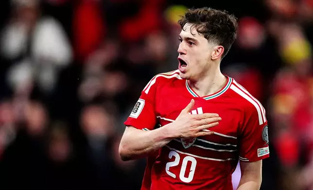 Wales' Daniel James celebrates after scoring the opening goal during the World Cup playoff semifinal soccer match between Wales and Bosnia and Herzegovina in Cardiff, Wales, Thursday, March 26, 2026. (David Davies/PA via AP)