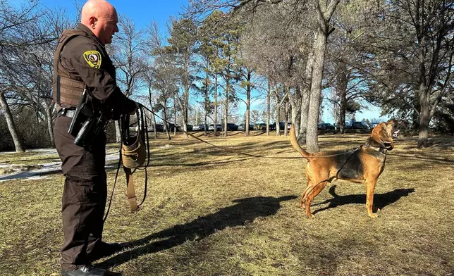 North Dakota Highway Patrol Trooper Steven Mayer watches as Bleu, a bloodhound, sniffs the air, Feb. 11, 2026, near the state Capitol in Bismarck, N.D. (AP Photo/Jack Dura)