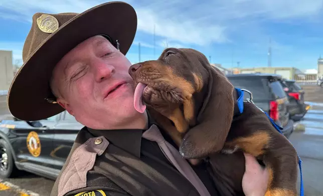 Beau, a bloodhound puppy, licks the face of his handler, North Dakota Highway Patrol Trooper Dustin Pattengale, on Friday, Feb. 27, 2026, outside the Highway Patrol office in Fargo, N.D. (AP Photo/Jack Dura)